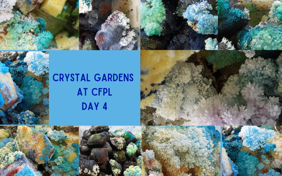 Crystal Gardens at CFPL