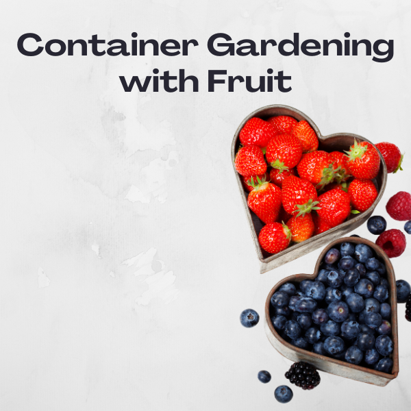 Container Gardening with Fruit