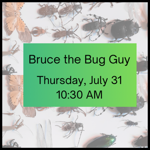 Green gradient box with event details overlaid on an insect display background.