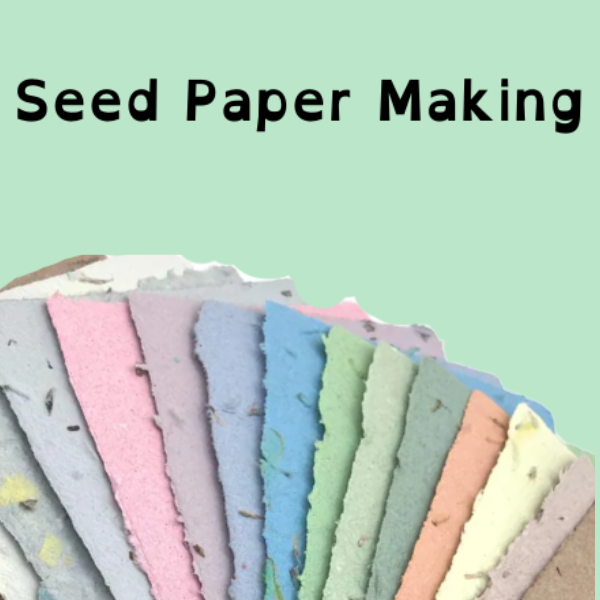 "Colorful seed paper sheets against a green background with text reading 'Seed Paper Making'."